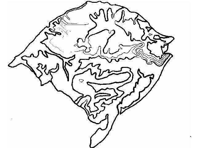 Rio Grande Do Sul Mapa Alto Relevo Cartografia Escolar